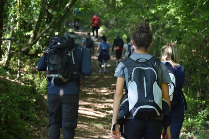 TREKKING SUI MONTI MARTANI